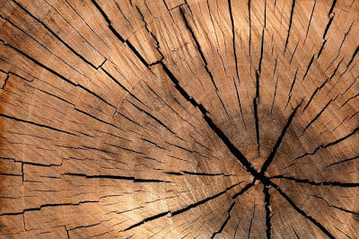 Why we choose viscose over cotton